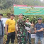 IMG-20260526-WA0006