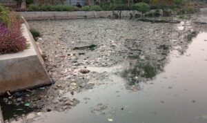 IMG-20260824-WA0002